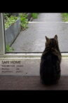 Safe Home Movie Streaming Online