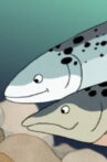 Salmon's Path Movie Streaming Online