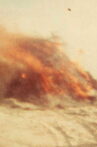 Scenes from an Island Movie Streaming Online