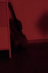 Schatten Movie Streaming Online