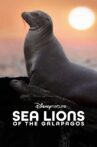 Sea Lions of the Galapagos Movie Streaming Online