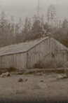 Seattle: Hidden Histories Movie Streaming Online