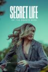 Secret Life of the Dean's Wife Movie Streaming Online