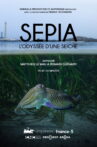 Sépia, l'odyssée d'une seiche Movie Streaming Online