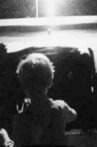 Shadow Movie Streaming Online