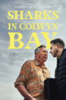 Sharks in Colwyn Bay Movie Streaming Online