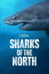 Sharks of the North Movie Streaming Online