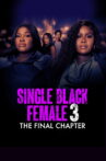 Single Black Female 3: The Final Chapter Movie Streaming Online