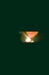 Sixteen Horses Movie Streaming Online
