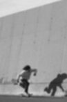 Skater's Paradise: Born To Movie Streaming Online