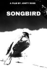 Songbird Movie Streaming Online
