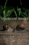 Staircase Snails Movie Streaming Online