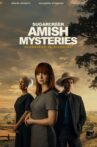 Sugarcreek Amish Mysteries: Blessings in Disguise Movie Streaming Online