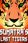 Sumatra's Last Tigers Movie Streaming Online