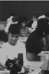 The American Negro Movie Streaming Online