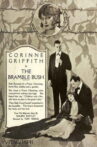The Bramble Bush Movie Streaming Online