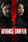 The Divorce Lawyer Movie Streaming Online