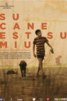 The Dog Is My Dog Movie Streaming Online