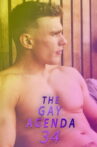 The Gay Agenda 34 Movie Streaming Online