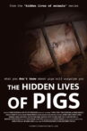 The Hidden Lives of Pigs Movie Streaming Online