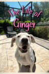 The Life of Ginger Movie Streaming Online