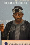 The Lion of Bourdillon Movie Streaming Online