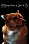 The Marvelous Adventure of Chispita the Dog Movie Streaming Online