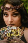 The Mystery of Soulmates Vol. 1 Movie Streaming Online