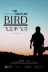 The Not So Flightless, Flightless Bird Movie Streaming Online