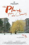 The Plant from the Canaries Movie Streaming Online