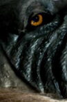 The Werewolf of Chatsford Movie Streaming Online
