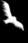 There Was The Moon! Movie Streaming Online