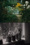 Through a Window Movie Streaming Online