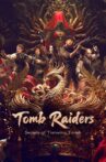 Tomb Raiders: Secrets of Tianxing Tomb Movie Streaming Online