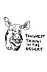 Toughest Things in the Desert Movie Streaming Online