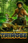 Trimobe 3D Movie Streaming Online