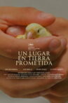 Un lugar en tierra prometida Movie Streaming Online