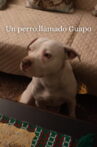 Un Perro Llamado Guapo Movie Streaming Online