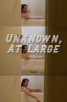 Unknown, At Large Movie Streaming Online
