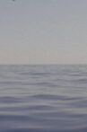 Water Movie Streaming Online
