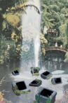 Water Feature Movie Streaming Online