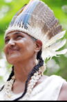 We Are Taino Movie Streaming Online