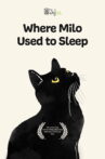 Where Milo Used to Sleep Movie Streaming Online