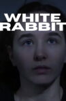 White Rabbit Movie Streaming Online