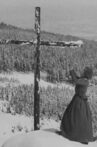 Winter Storms Movie Streaming Online