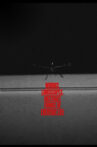 Worms, Landscapes, Abstract forms of Everyday life Movie Streaming Online